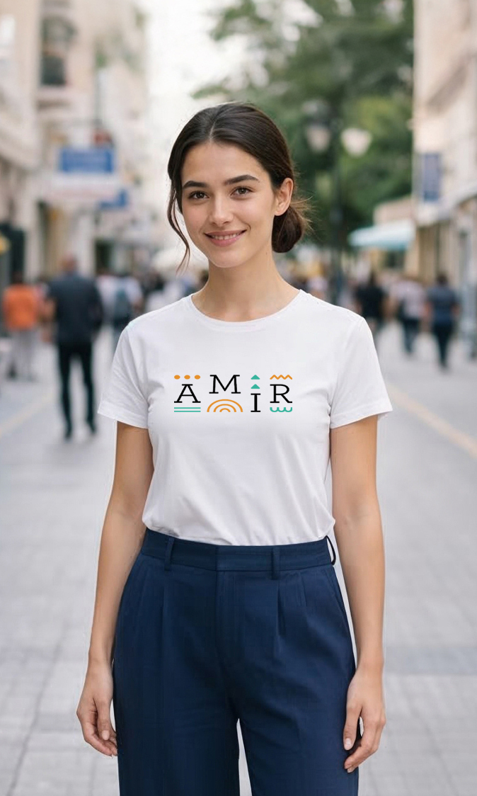 AMIR — EU Migration Integration Platform